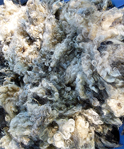 Fleece 16328