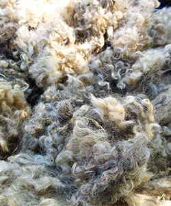 Fleece 16328