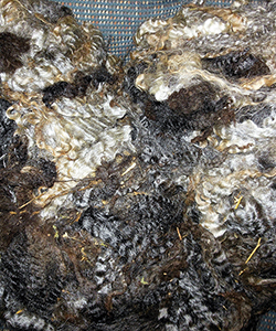 Fleece - 1641