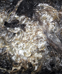 Fleeces