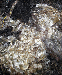 Fleeces