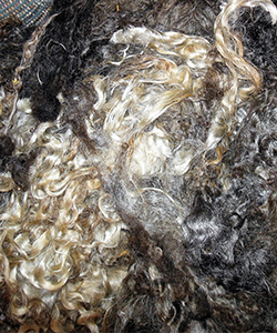 Fleeces