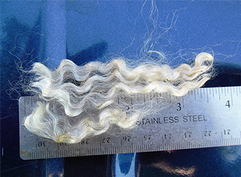 Fleece 1712