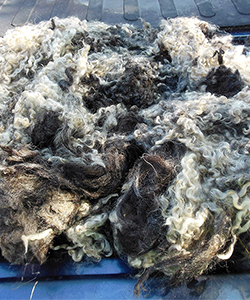 Fleece 1712