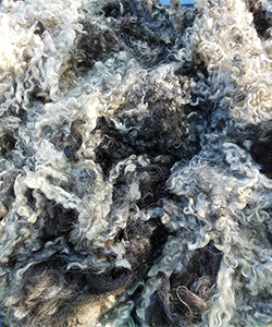 Fleece 1712