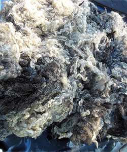 Fleece 1712