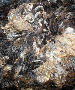 Fleeces
