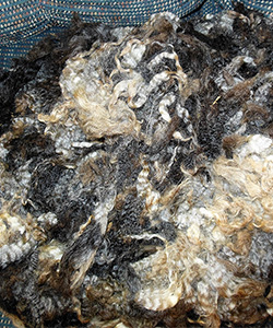 Fleeces