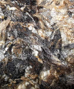 Fleeces