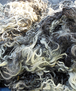 Fleece 1740