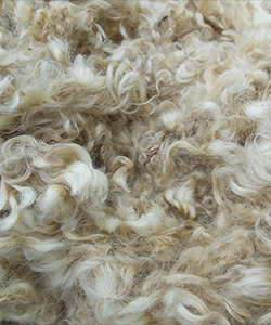 Fleece - 17456