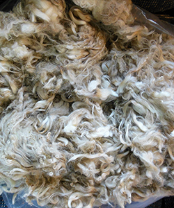 Fleece -713