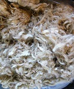 Fleece 714