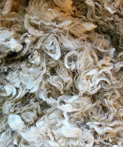 Fleece 714