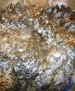Fleece - 916