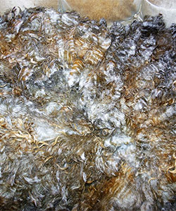 Fleece - 916