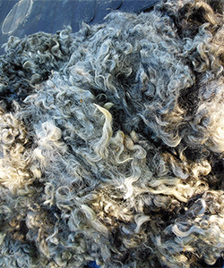 Fleece -Kris