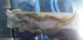 Fleece -12095