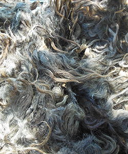 Fleece - Emily