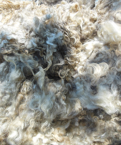 Fleece - 1520