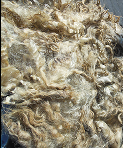Fleece - 1520