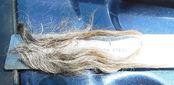 Fleece - Mike 459