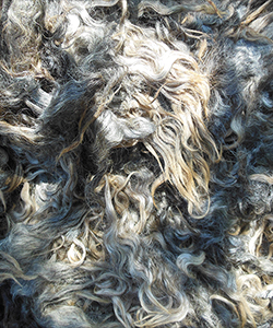 Fleece - Mike 459