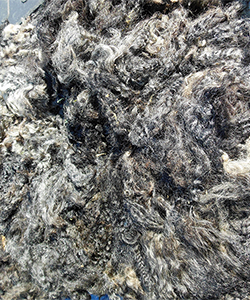 Fleece - Emily