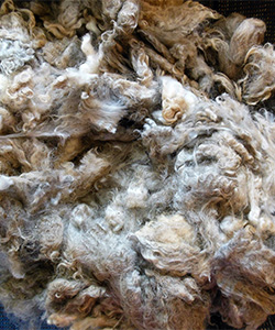 Fleeces