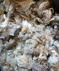Fleeces