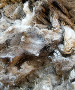 Fleeces