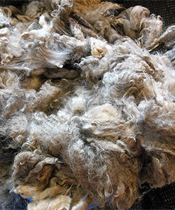 Fleeces