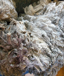 14-45 Fleece