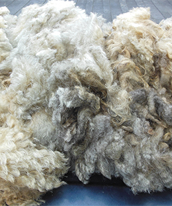 Fleece - Hammer