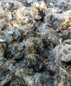 Fleece - Kris