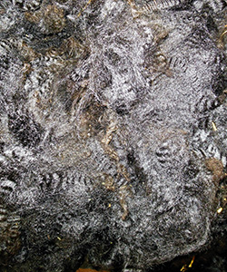 Fleeces - 1653