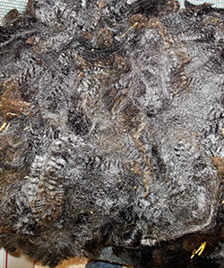 Fleeces - 1653