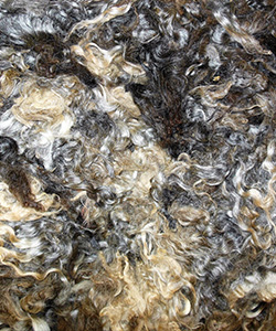 Fleeces- L709