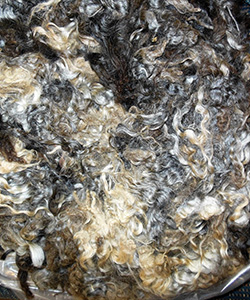 Fleeces - L709