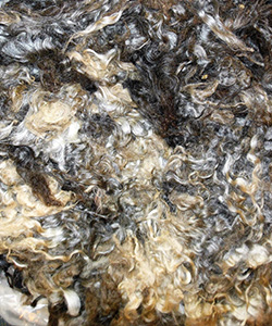 Fleeces - L709