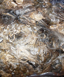 Fleeces - L710