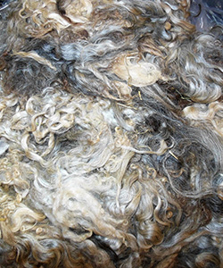 Fleeces