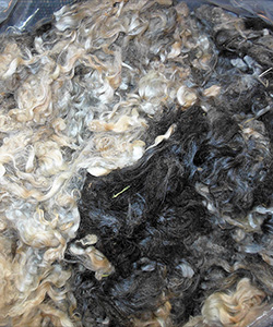 Fleece L711