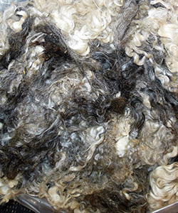 Fleeces L717