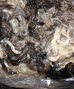 Fleeces _ L718