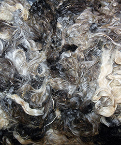 Fleeces - L718