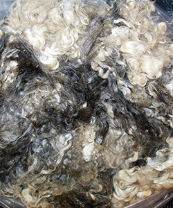 Fleeces = L718