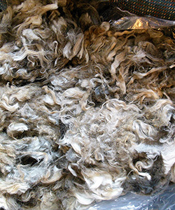 Fleeces - L720