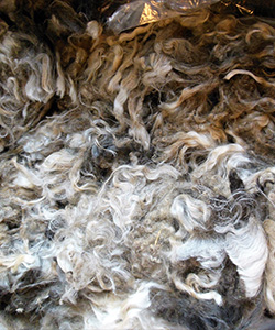 Fleeces - L720