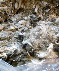 Fleeces = L720